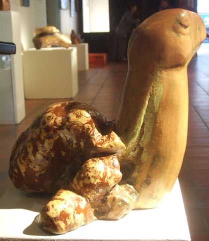 sculpture sur racine représentant une tortue